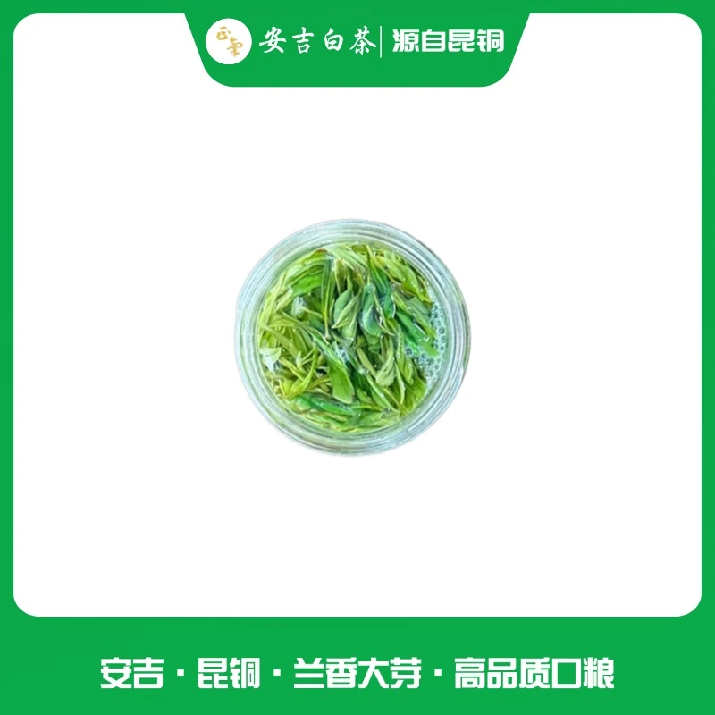 阳山绿版(大口粮)昆铜高山安吉白茶浓香耐泡不苦不涩回甘足
