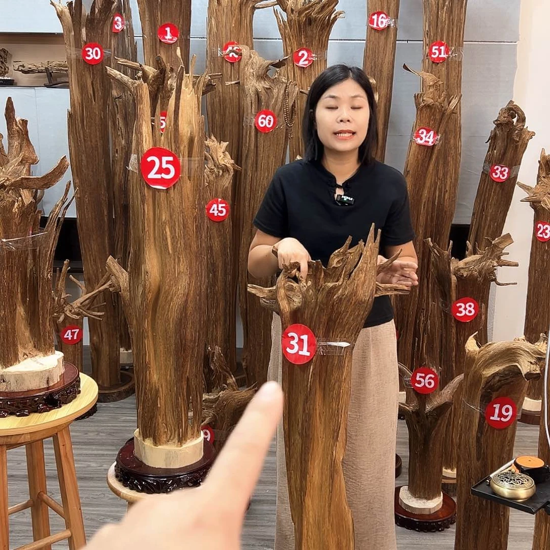 沉香沉香碎屑往**忘沉香