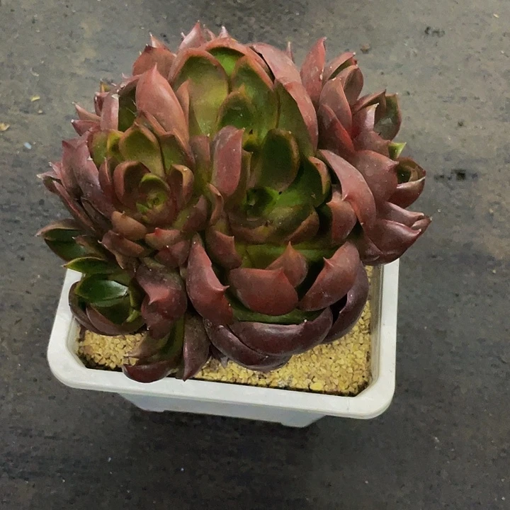 洪***湖一样物品一样物品