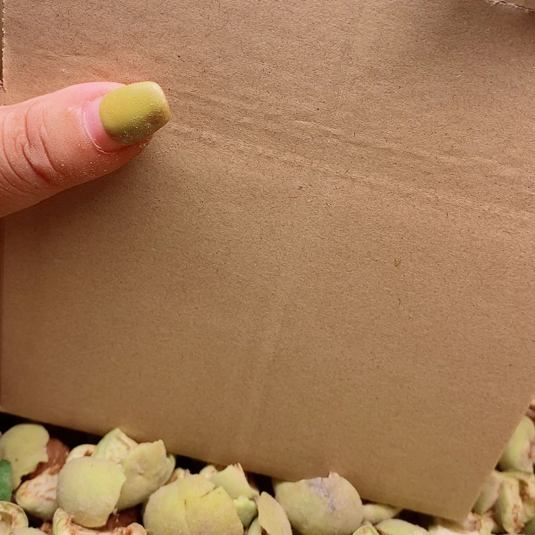 大***子桃核手串老树纽扣1.8