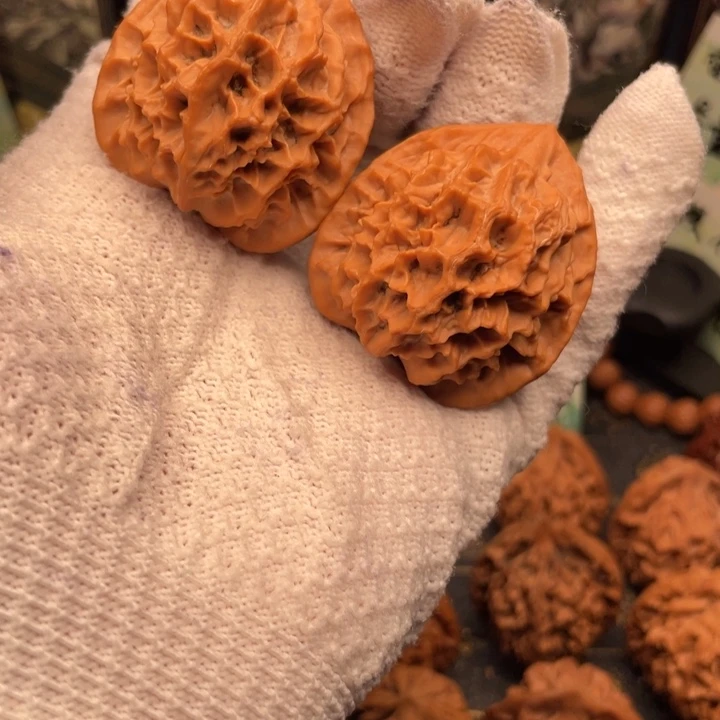 他***哥核桃40尺秦岭野生帝王