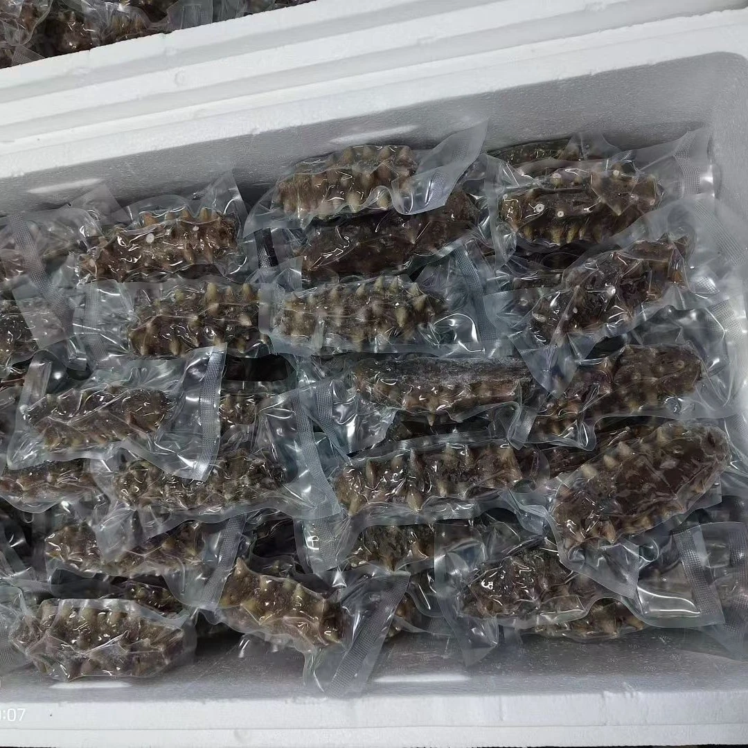 大连深海辽刺参即食海参独立真空包装品质保证