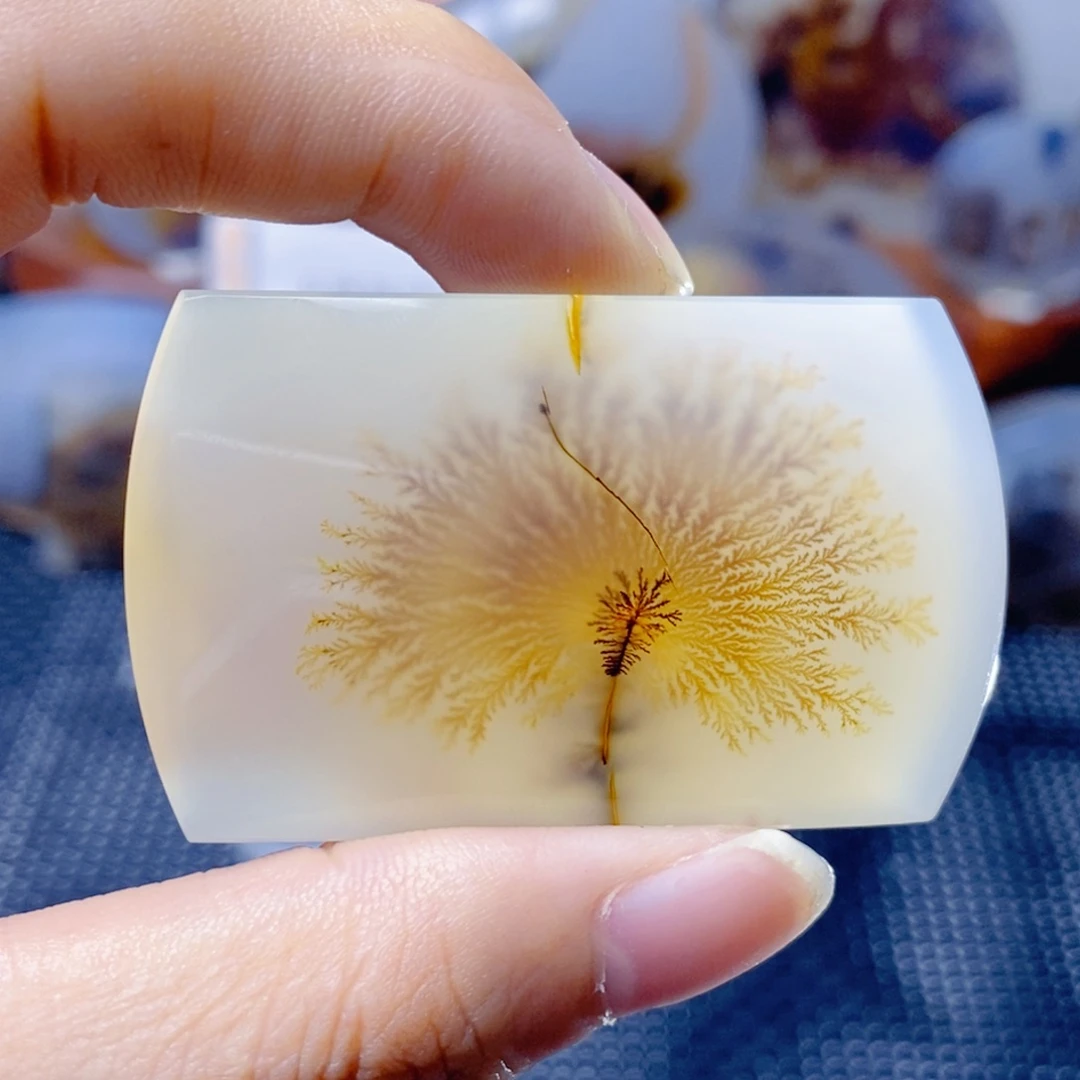 富***久玛瑙/玉髓未镶嵌珠宝奇石