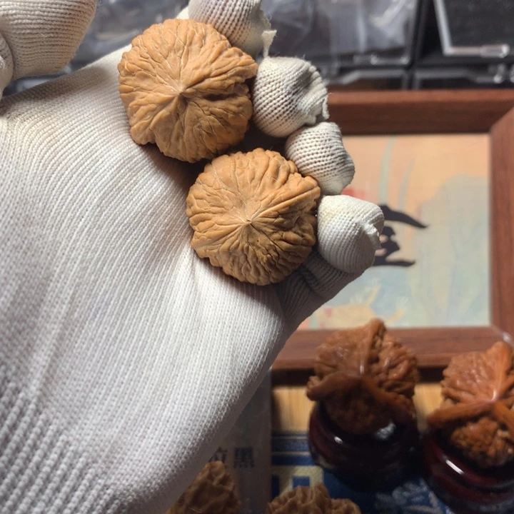 华***院哈哈哈哈哈哈哈哈哈哈