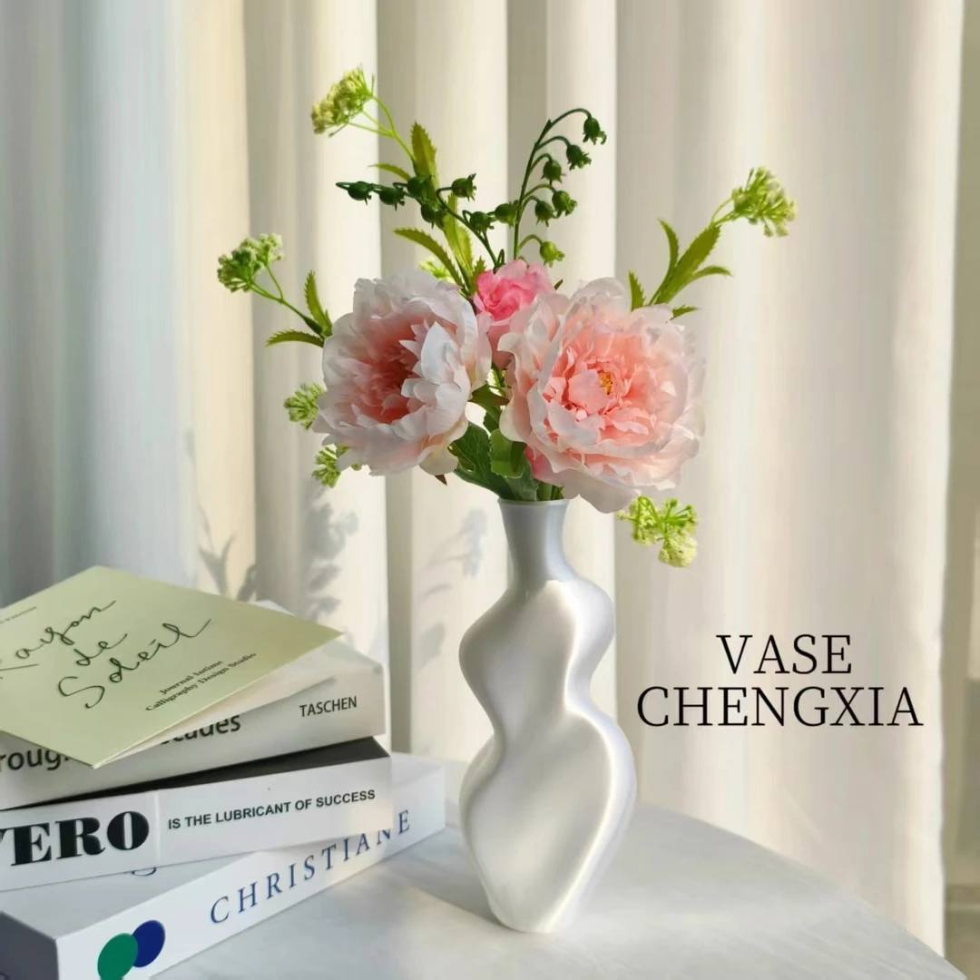 ins风花瓶客厅插花花瓶轻奢高级感网红客厅摆件装饰小众创意花瓶