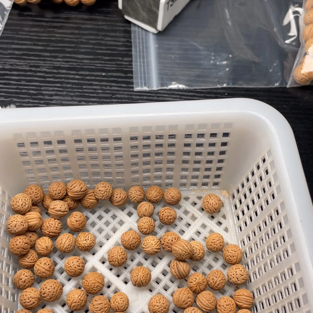 【闪购商品】张*才私人定制，不退不换300米打孔