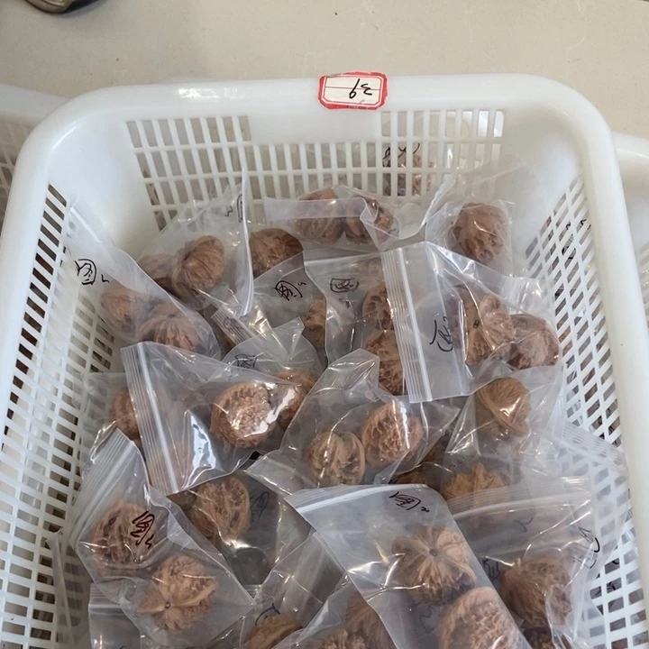 吊坠文玩核桃大图图尖瑕疵