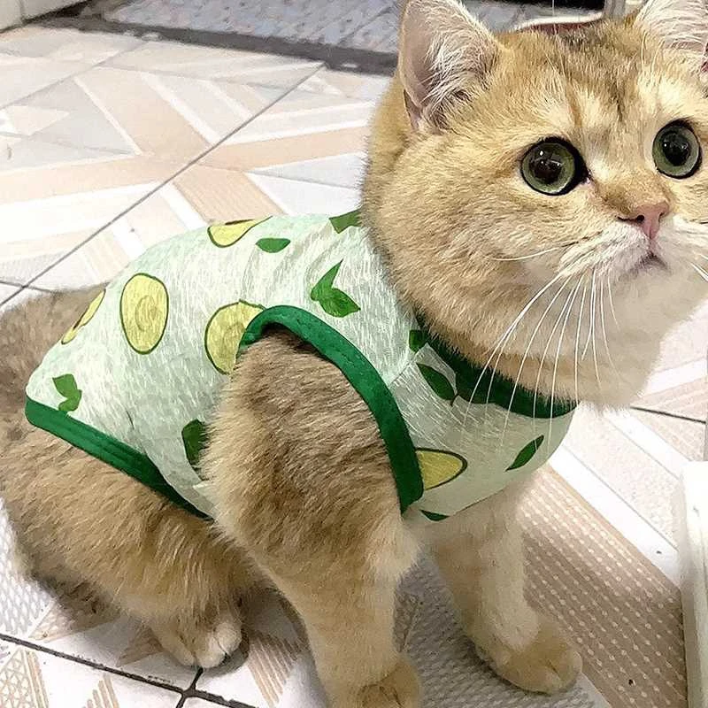 猫咪衣服夏季轻薄款防晒衫清凉透气小背心狗狗防脏防掉毛宠物服装