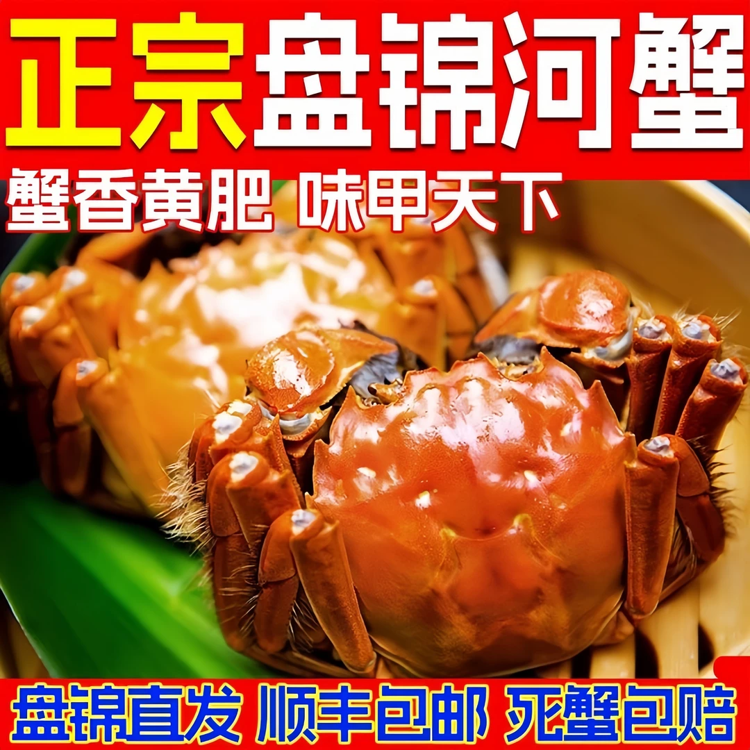 【活蟹】盘锦稻田蟹 全母蟹0.8-1.1两 开塘福利20只送10只顺丰包邮