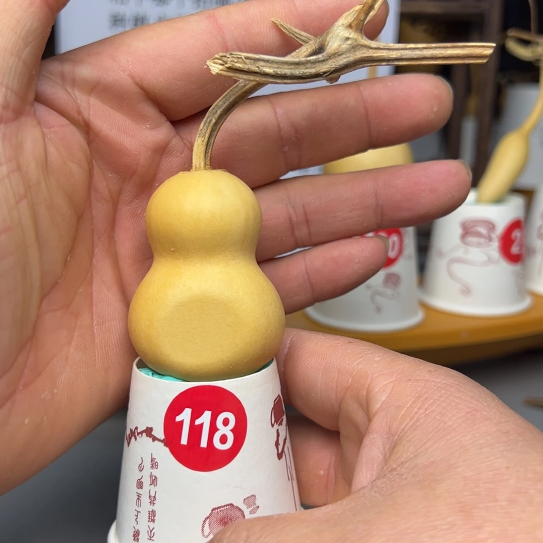 闪电购自助下单编号118