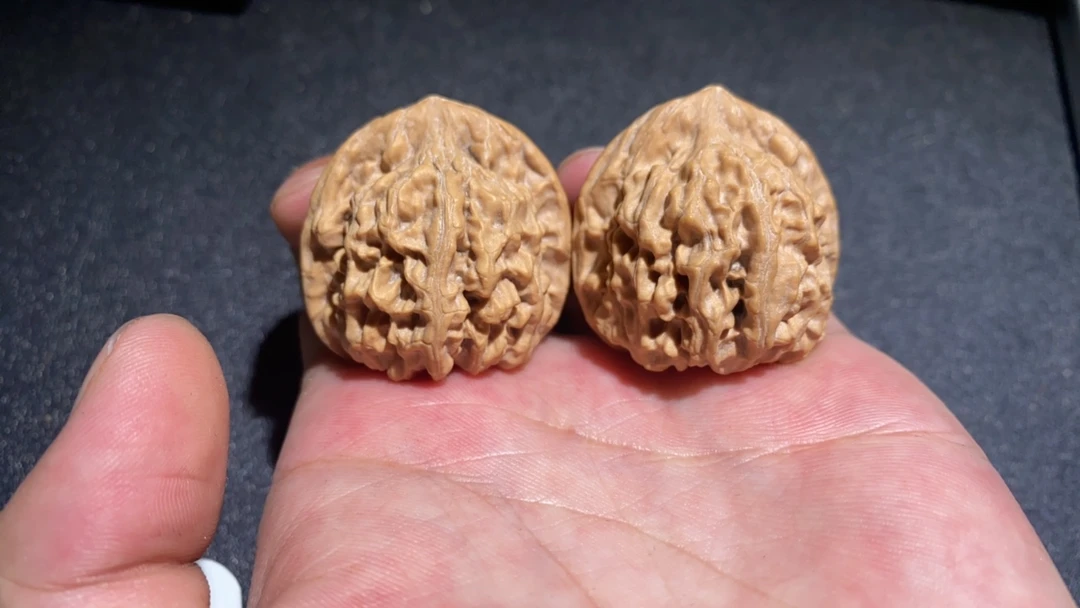 天地 全品 精品核桃