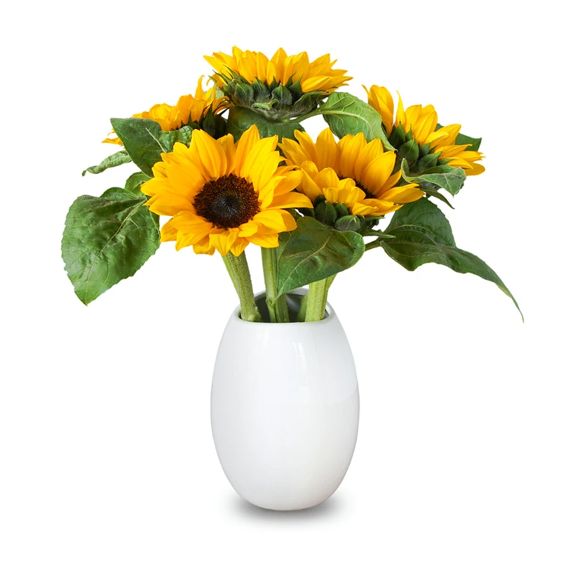 精选新鲜向日葵云南基地直发水养插花桌面办公摆台