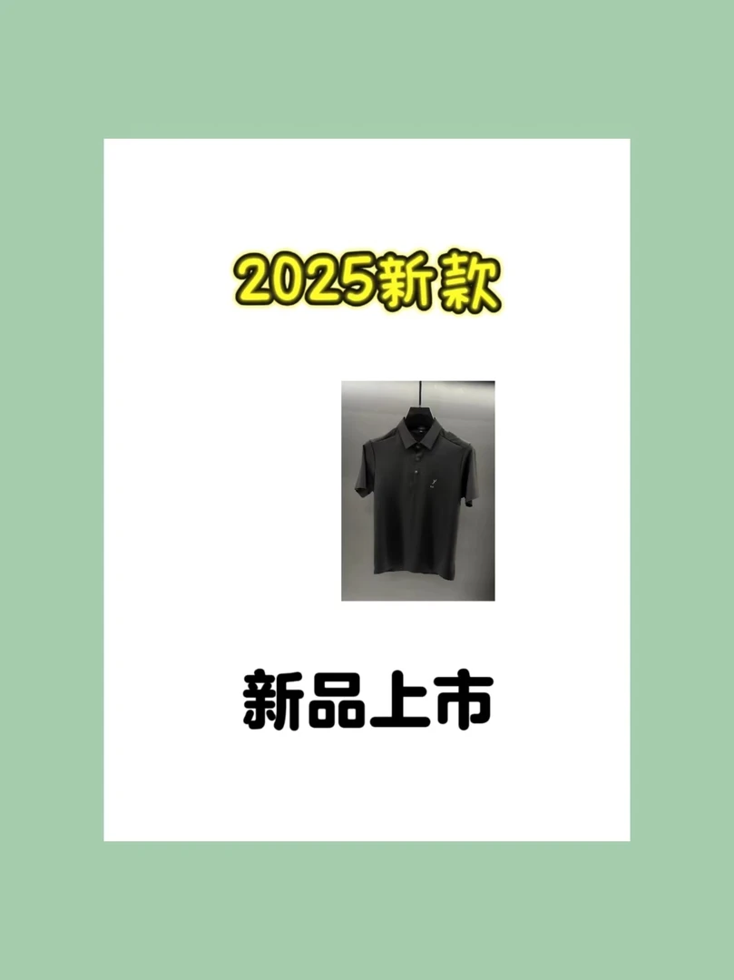 2025男士春季时尚户外休闲POLO T恤半袖7782-X