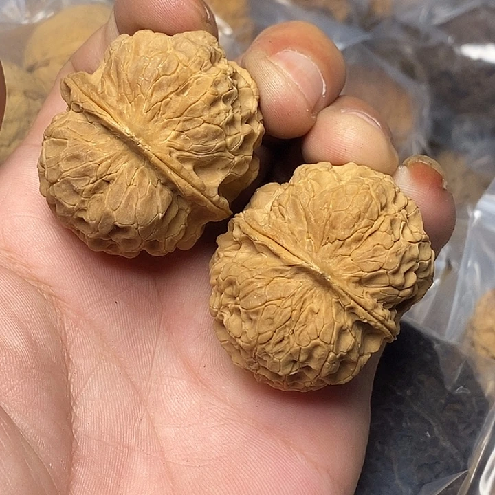 文玩核桃把件云南铁核桃81