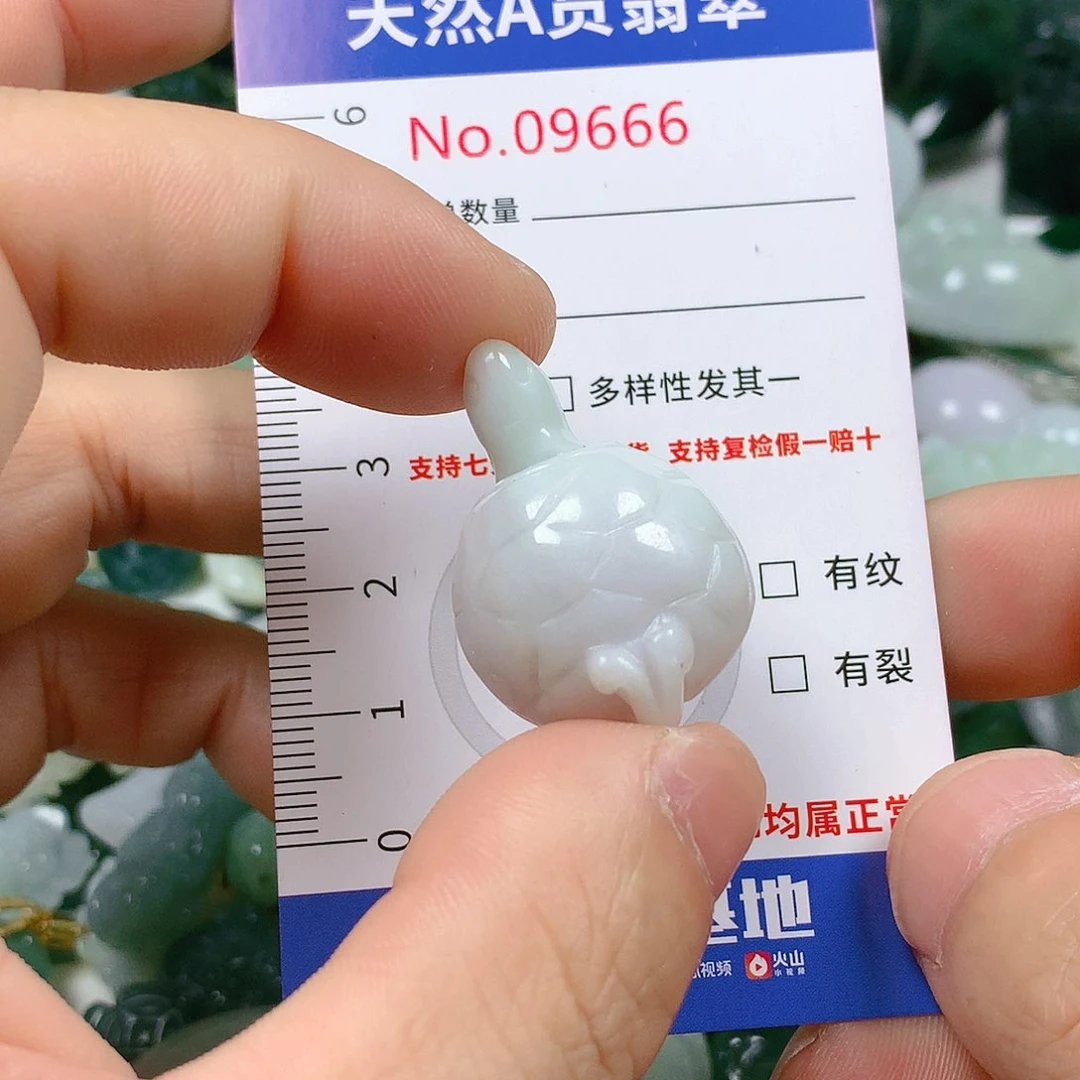 翡翠颈饰未镶嵌天然翡翠