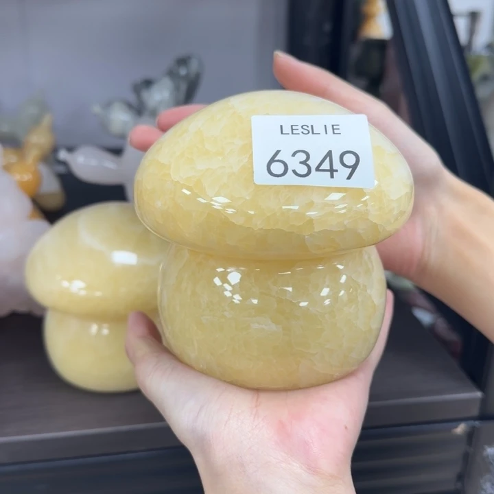 Z**?X349.                灯