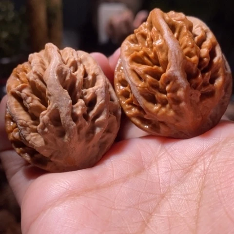 把件文玩核桃东北野生楸子小美8 9