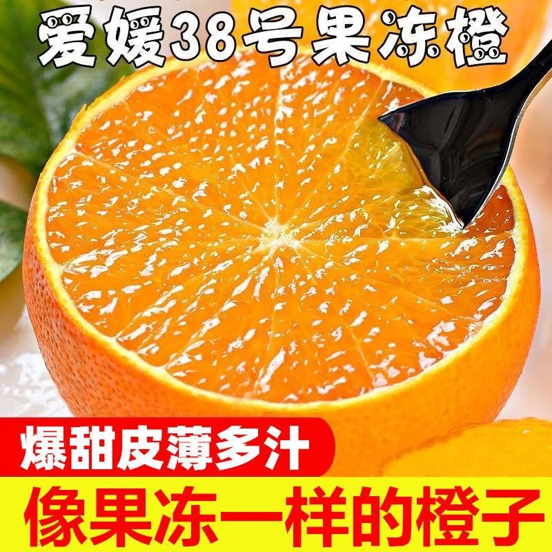 【乡村振兴】余主任 爱媛38号果冻橙四川爱媛橙新鲜采摘产地直发