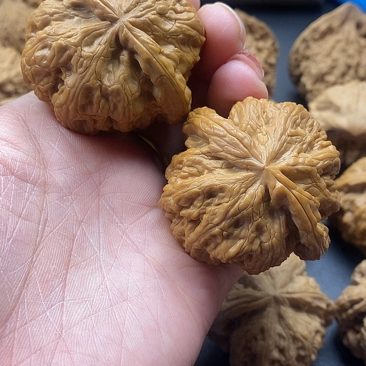 龙脊菩提吊坠粗筋50