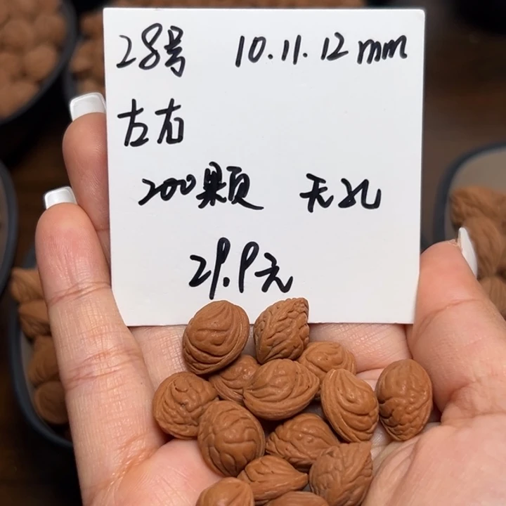 木质类雕刻料肚卡10-11-12 200颗