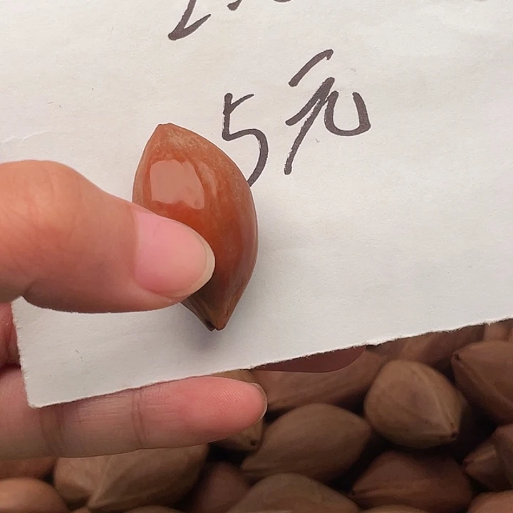 「***」橄榄核手串/手链橄榄