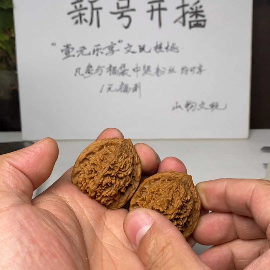 龙脊菩提吊坠漫天星39尺000876