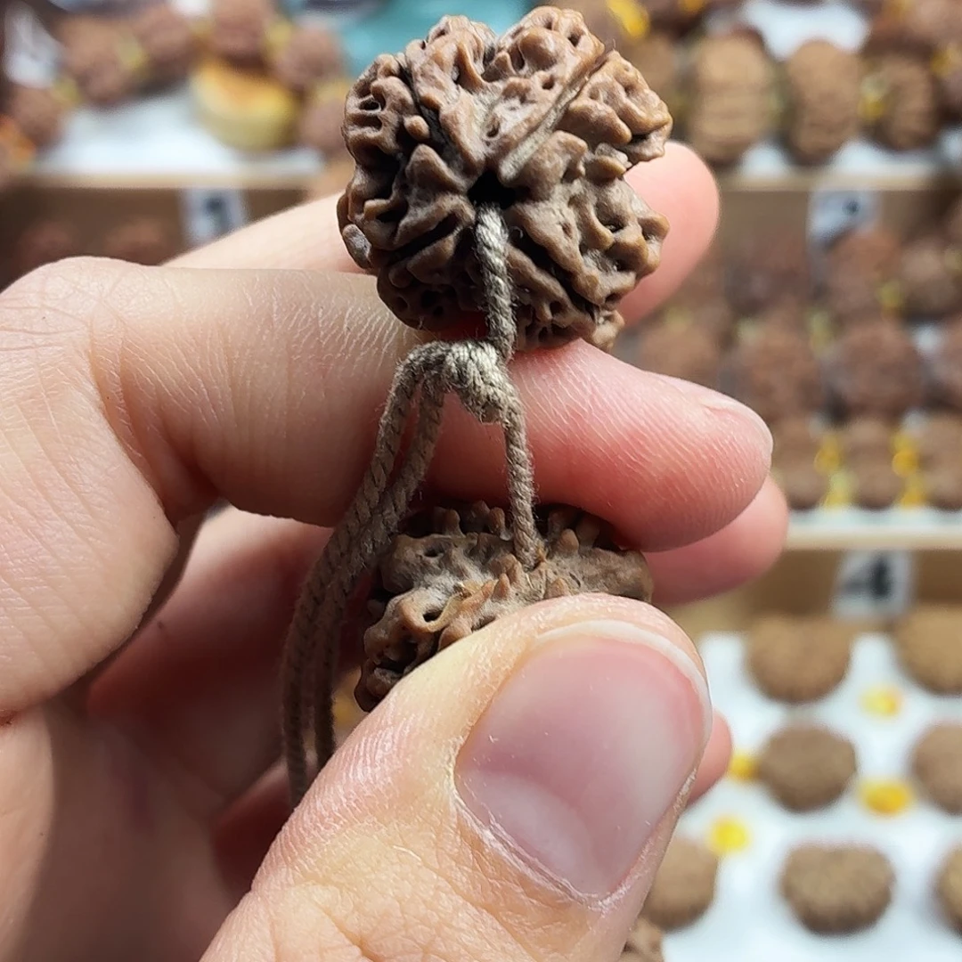 手串金刚菩提稀有精品4瓣蜂窝双龙大尺寸