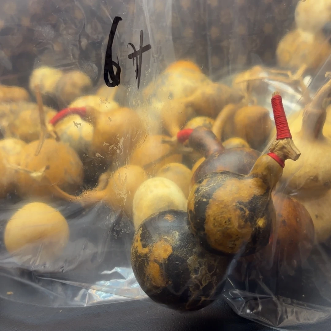 日***山香榧木哈哈哈哈哈哈哈