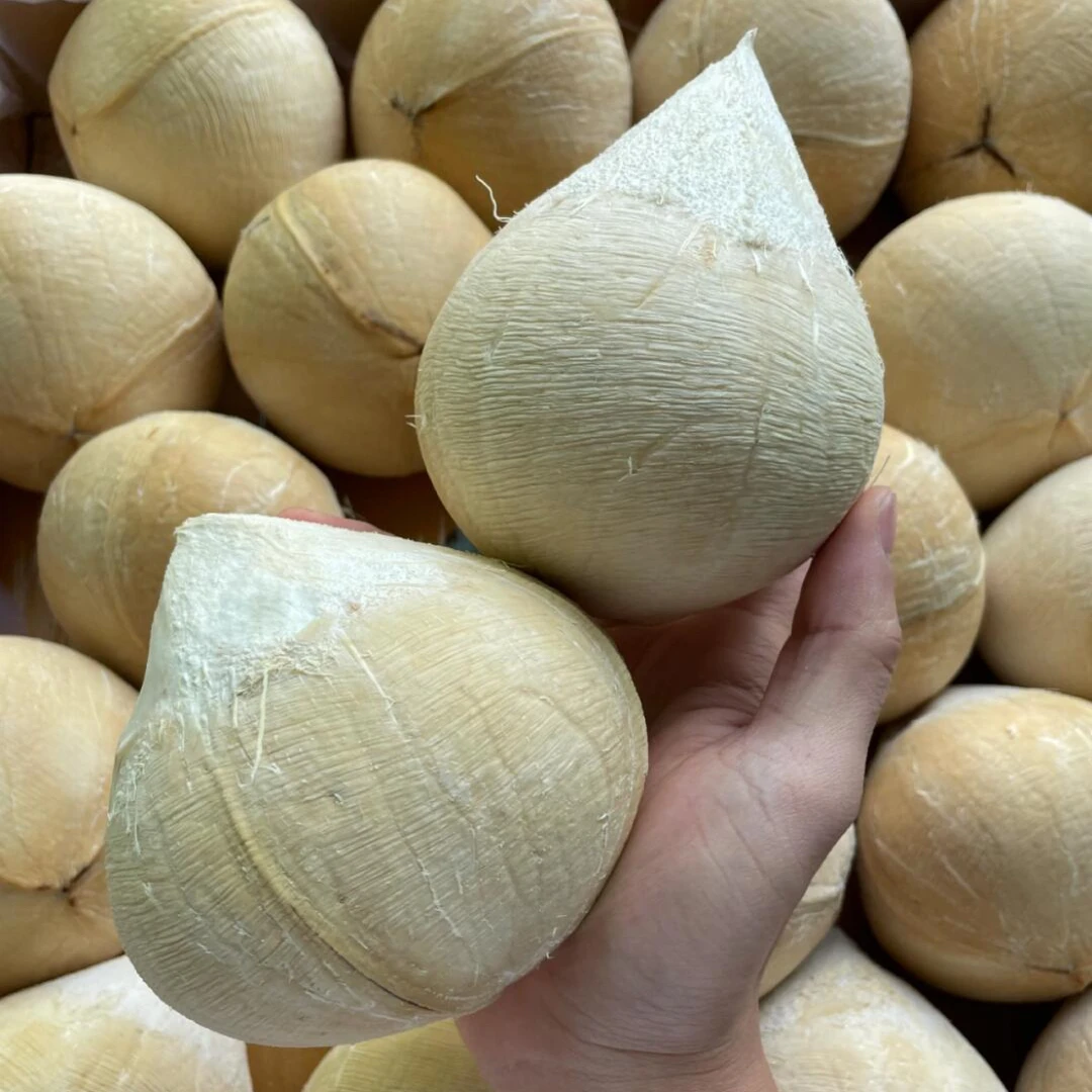 椰黄1枚约460g【1小时送货到家】