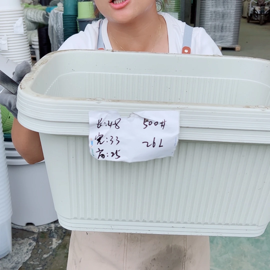 菜盆500#米白色3个无托