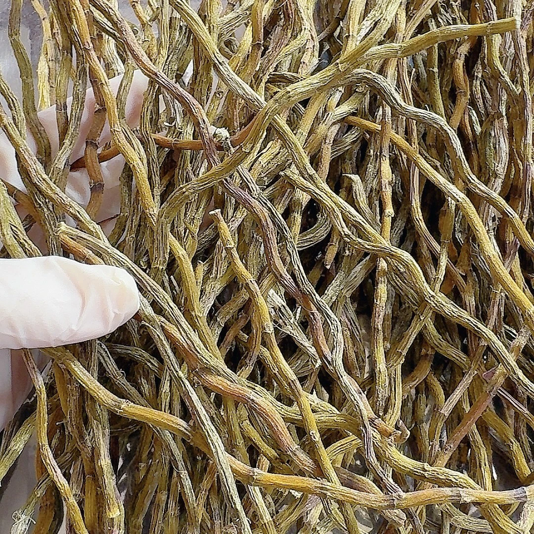春季养生特惠 雁荡山铁皮石斛条 可代切片打粉 泡水煲汤煮水滋补