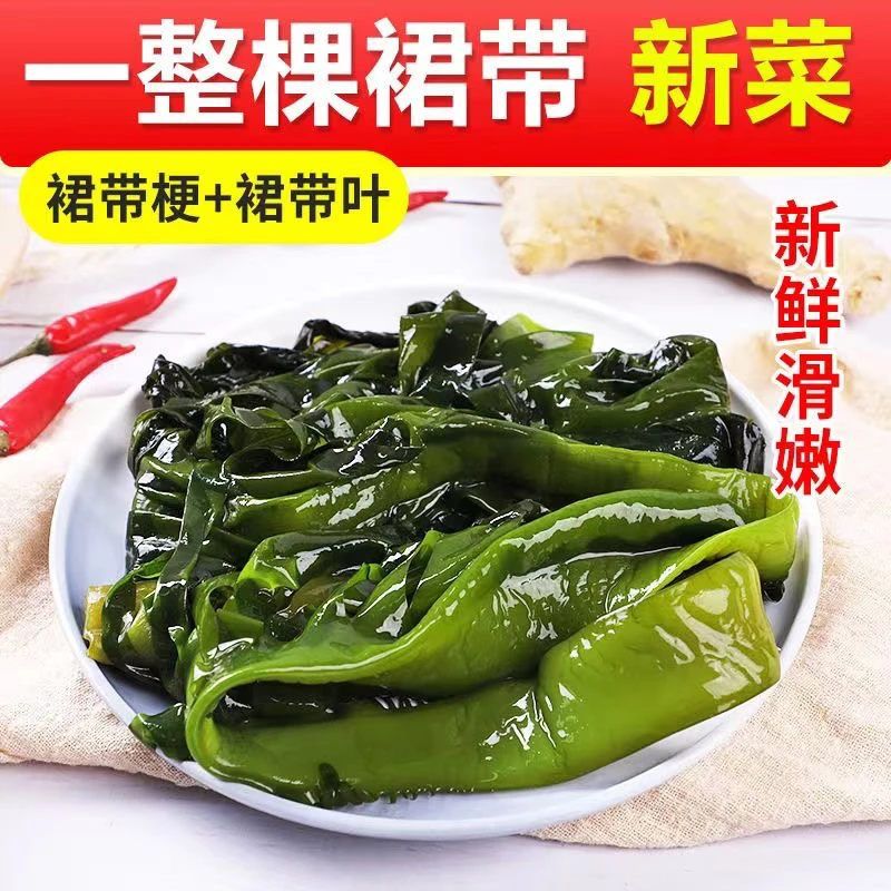 今年新菜整颗精选盐渍海带菜5斤/箱口感细腻鲜嫩