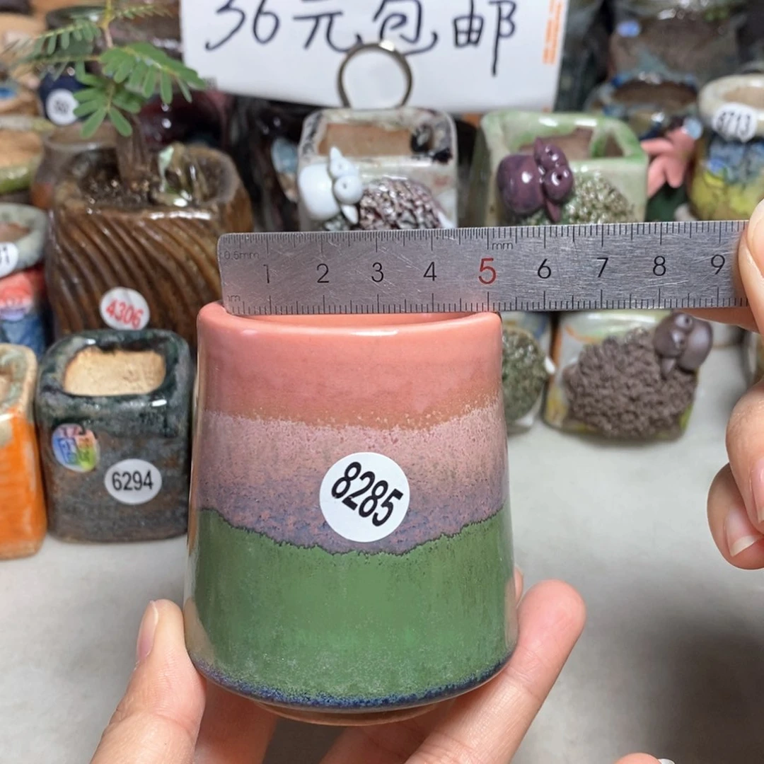 拍5送一个小礼物