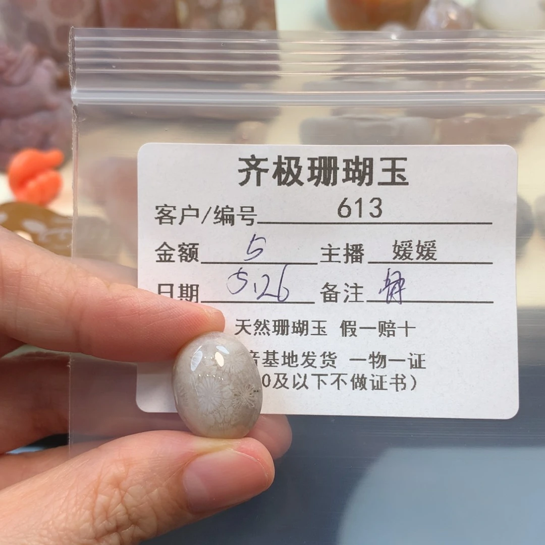 硅化珊瑚（珊瑚玉）未镶嵌颈饰Z****）