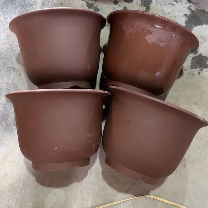 20×14四只定制款京中