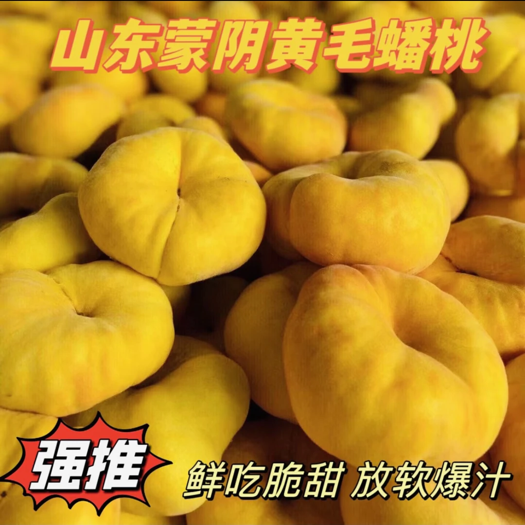 山东蒙阴新鲜应季毛蟠桃皮薄甜嫩多汁现摘现发黄桃