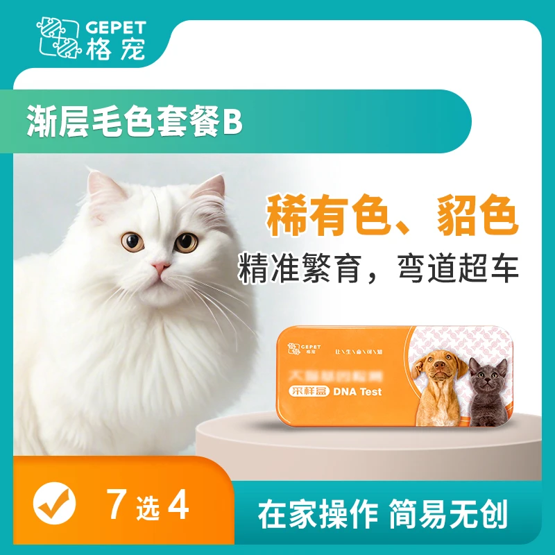 格宠猫咪渐层毛色套餐B  8选4【确认收货后找客服领取兑换码】