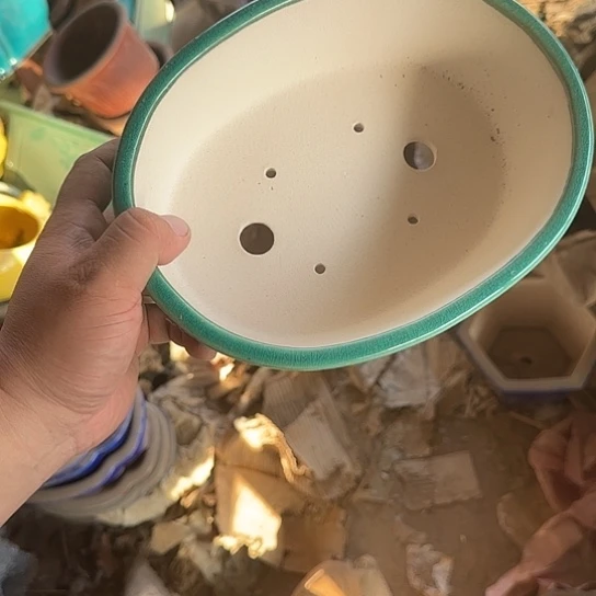 不去看书啊哈是真的想去吃个