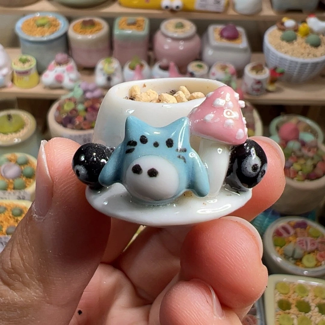 多肉植物43号拇指盆