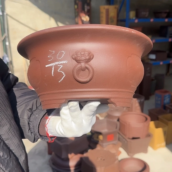 花盆紫砂这是什么