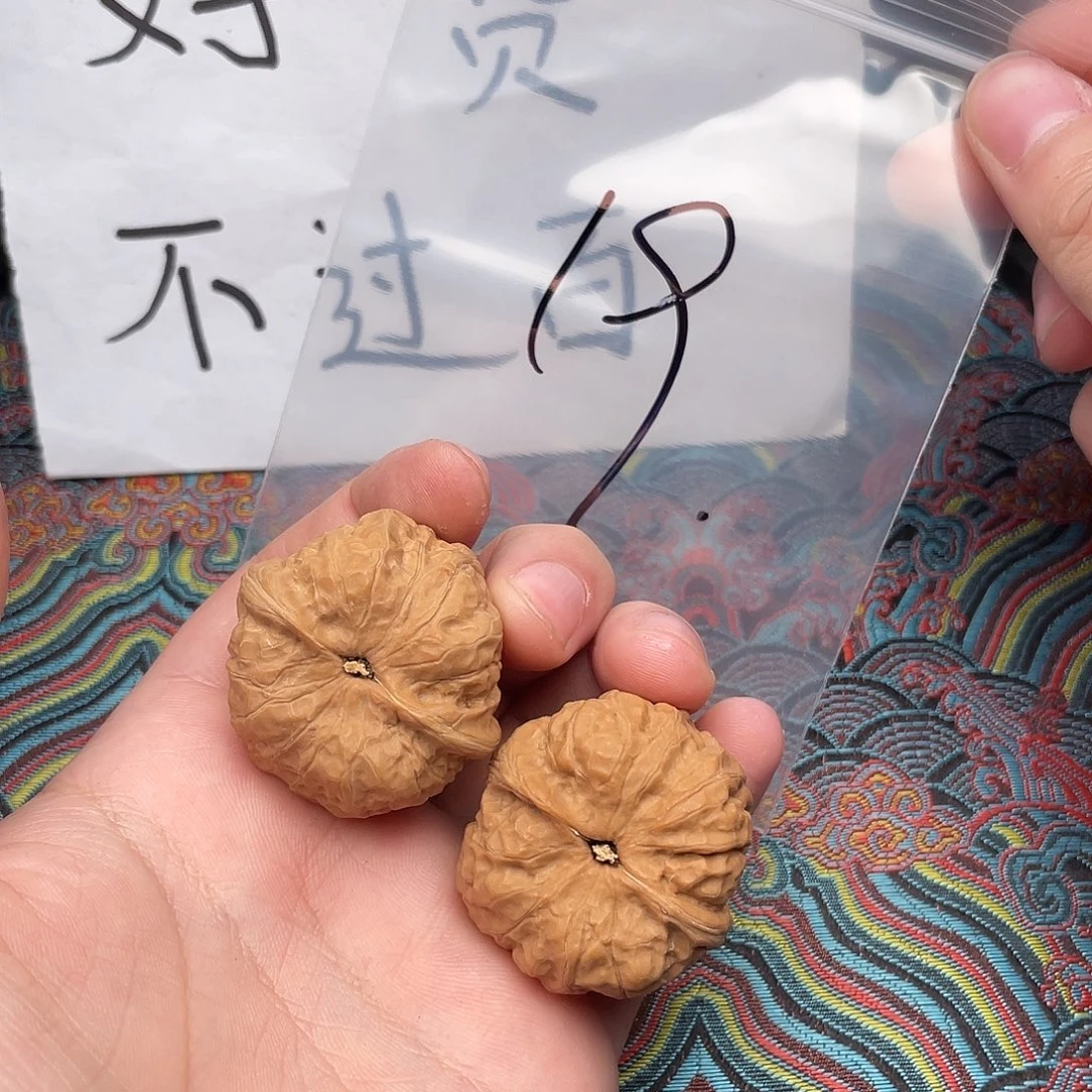 核桃哈哈哈哈哈哈哈哈哈