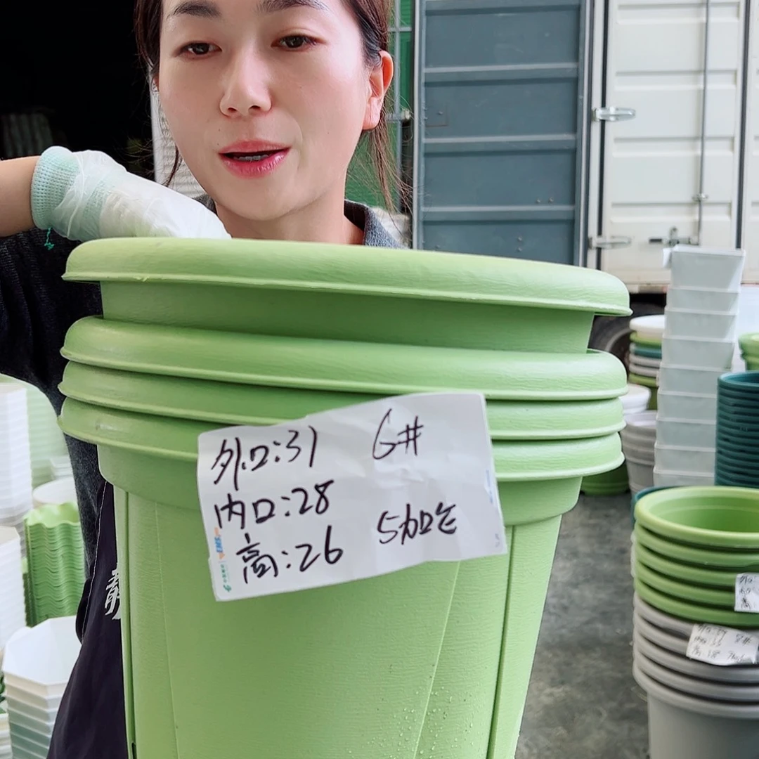 青山盆6#果绿5个无托