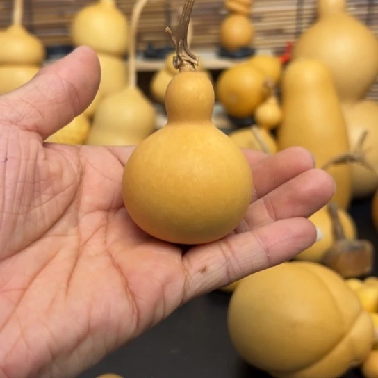 八****阴1255699999999999