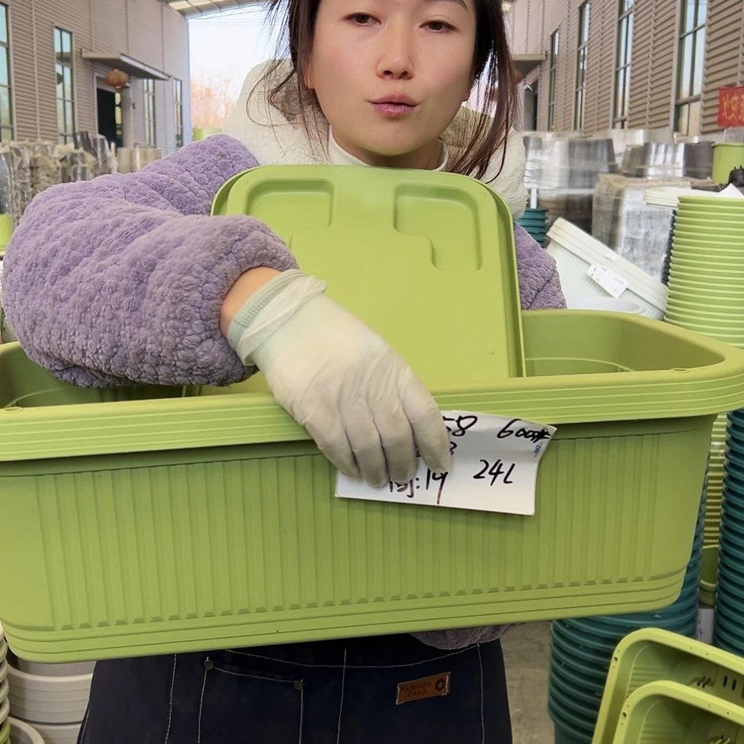 菜盆600#果绿3个（含托）