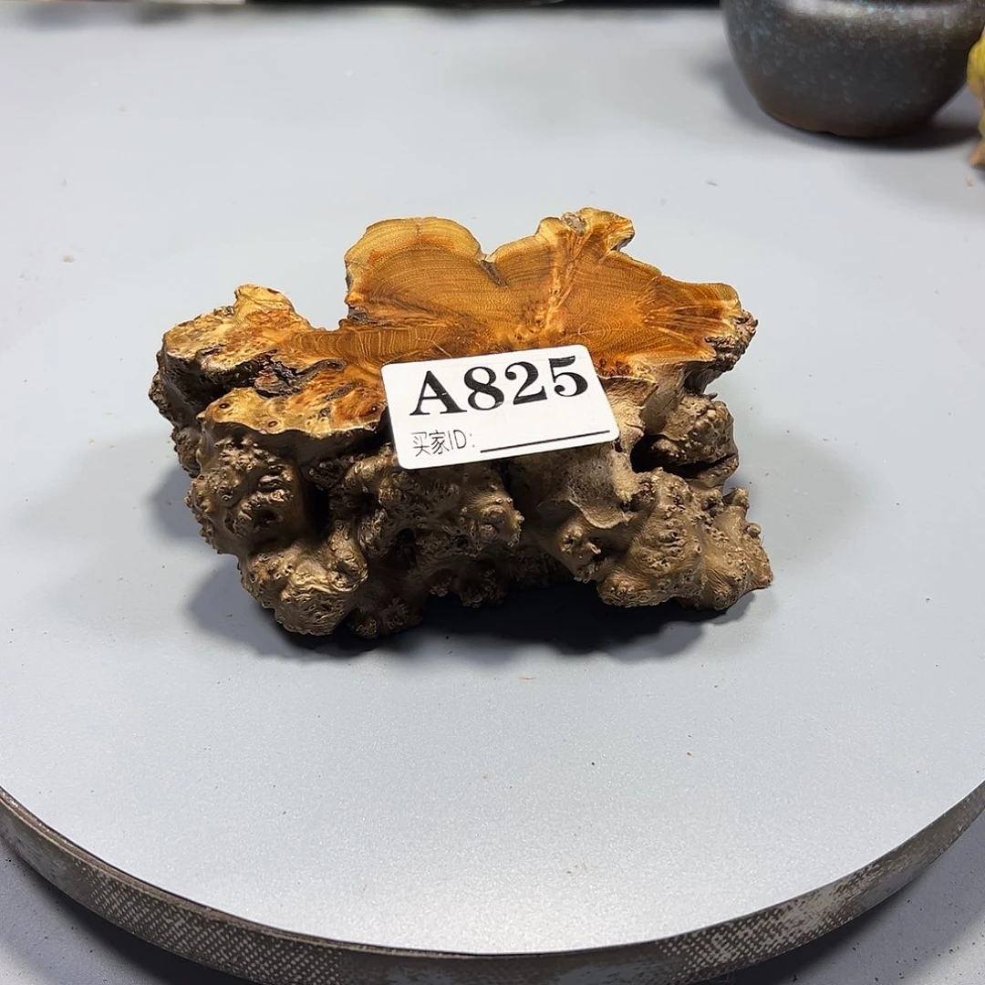 大果紫檀（缅甸花梨）用****2