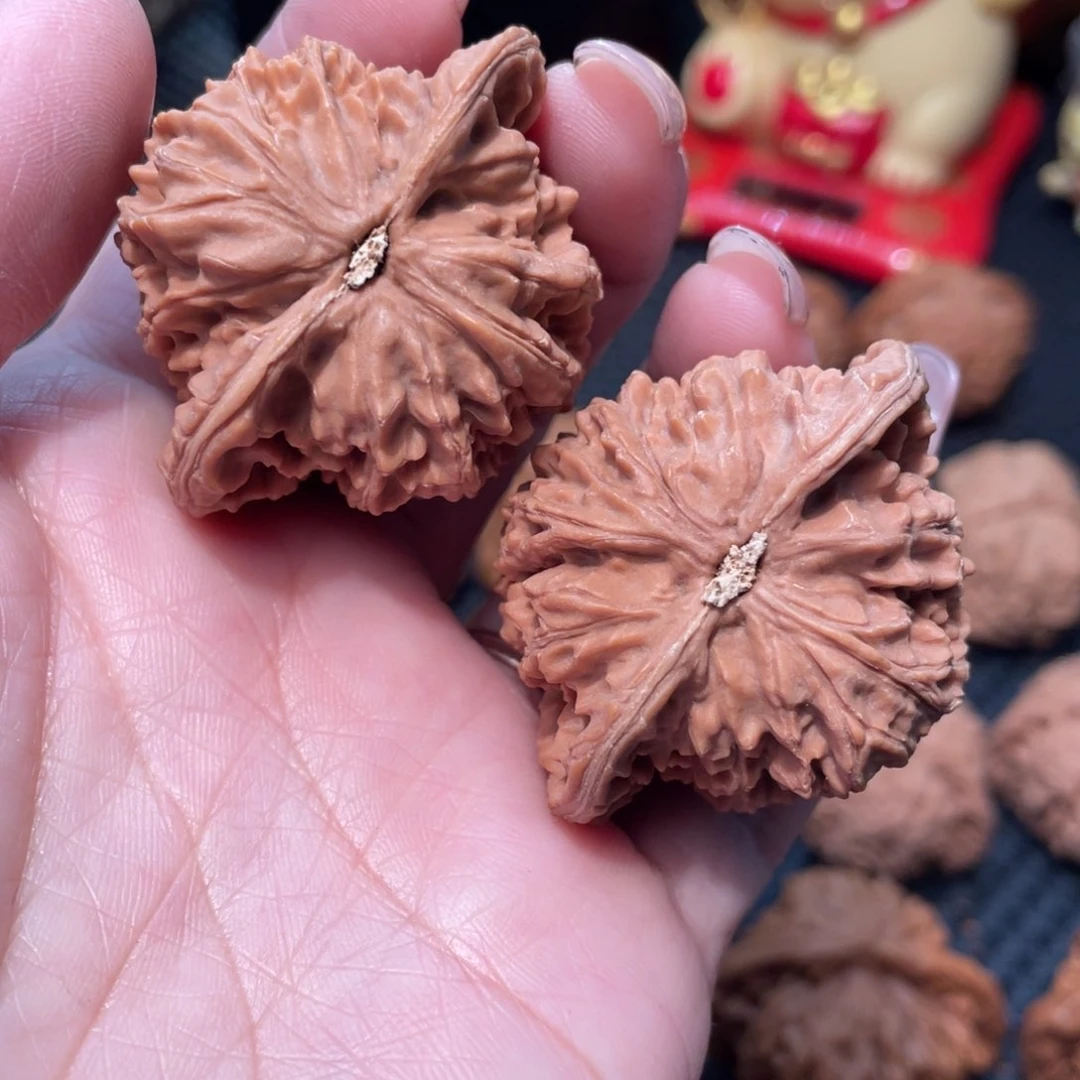 文玩核桃把件蟠龙纹4.6全品