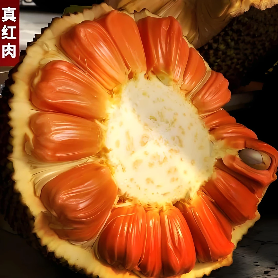 正宗越南印尼红红肉菠萝蜜 8-12斤新鲜菠萝蜜