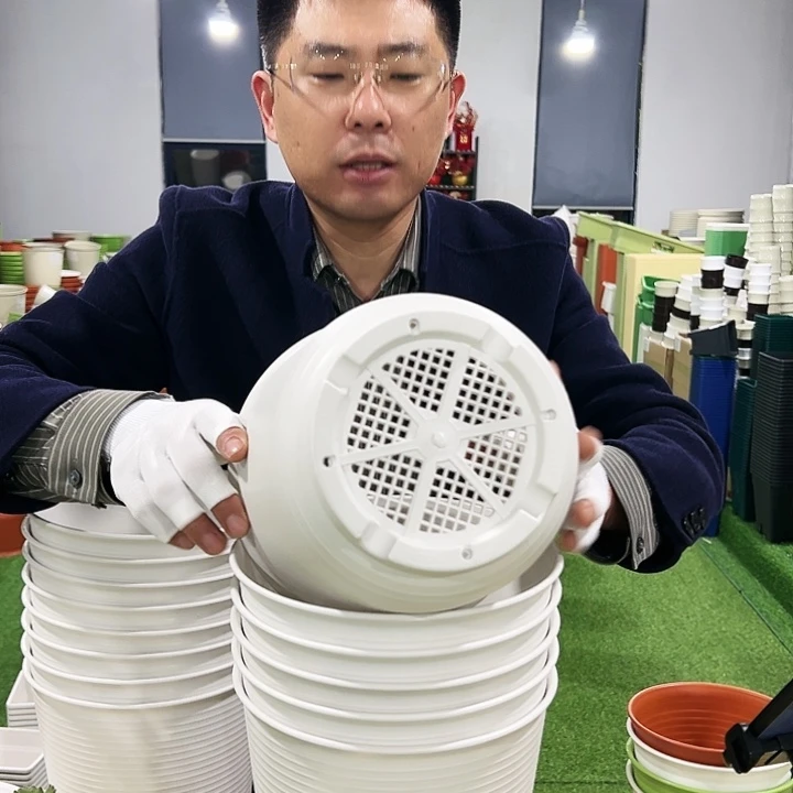 正品高陶口21高21白色6只无托