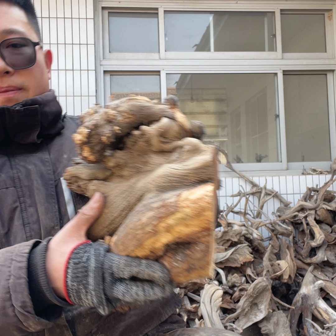 【闪购商品】柏木?**！啦咯啦咯啦咯啦咯