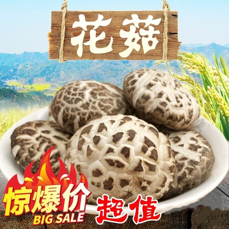 椴木白花菇新鲜营养农家精选肉厚椴木有根干蘑菇菌菇冬菇